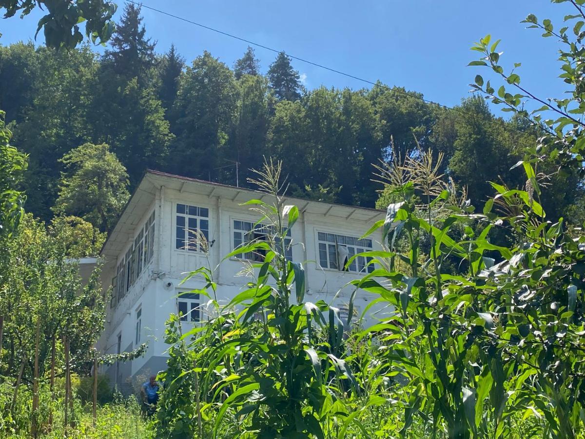 Guest House Okropilauri Shuakhevi Exterior photo