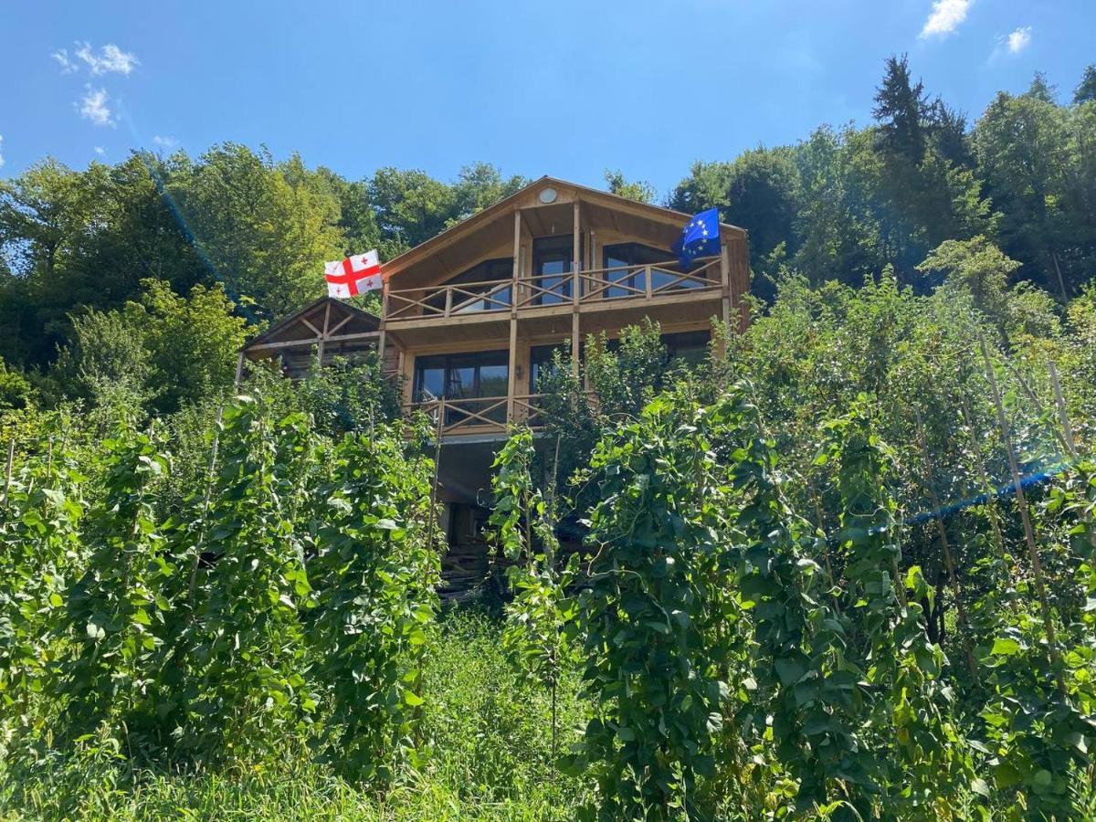 Guest House Okropilauri Shuakhevi Exterior photo